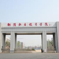 铜陵职业技术学院logo