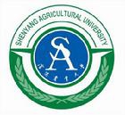大连外国语大学logo